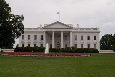 The White House   Sights