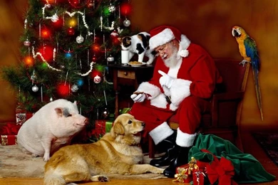 Christmas Wallpapers 2013   2014 ~ HD Pictures 2013 Wallpapers ...