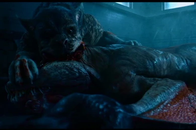 Download Number Wallpapers 1024x640