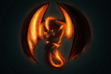 Top 50 HD Dragon Wallpapers, Images, Backgrounds, Desktop ...