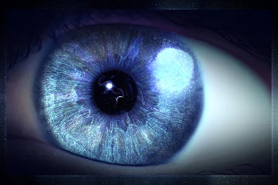 Wallpapers Jokes Blue Eyes Photos Hd 1440x900 Desktop Wallpapers ...