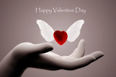 Love Wallpapers 3d   Wallpapers Cave