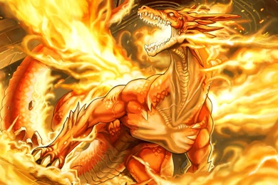 Fire Dragon Wallpapers Widescreen Resolution 67F   WallPey