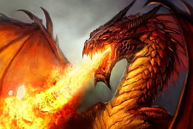Fire Dragon Wallpapers For Iphone 676   WallPey