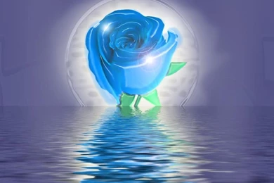 3D Love Rose 3D S 1024x768 High Definition 248760