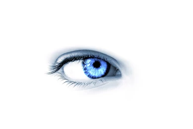 Blue Eyes In White 3142 Hd Wallpapers Pictures