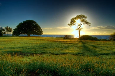 Tree Of Light Wallpapers Landscape Nature Wallpapers 1920 1200 ...