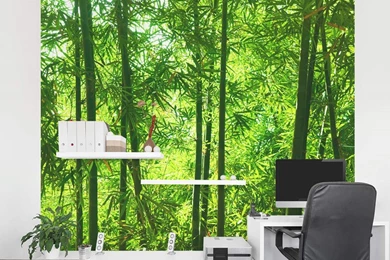 Jestingstock.com Mural Wallpapers Forest