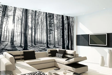 Black And White Forest Wall Mural