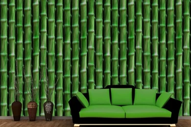 Green Jungle Bamboo Tree Forest Wall Mural Deco Photo Wallpapers