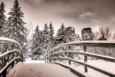 Winter In Calgary *** >> HD Wallpaper, Get It Now!