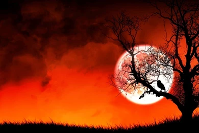 Animated Wallpapers For XP Free Download Moon Photos Of Using ...