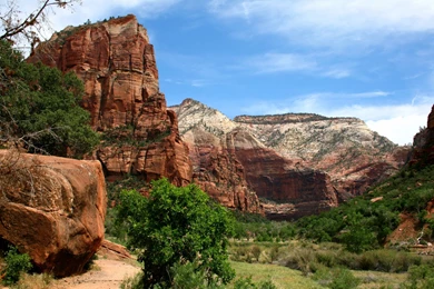 Zion National Park 54