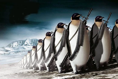 Penguin Army, Gun, Digital art, 2560x1600 HD Wallpapers And FREE ...