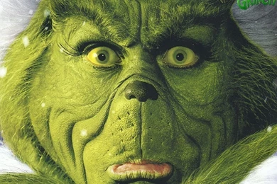 The Grinch   How The Grinch Stole Christmas Wallpapers (30805541 ...