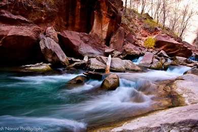 Zion National Park Wallpapers