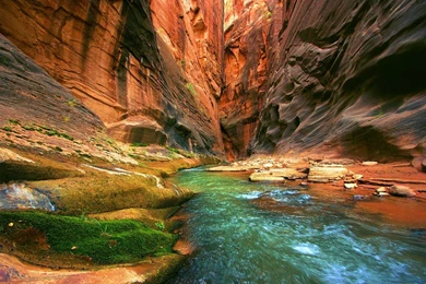 Zion National Park 04