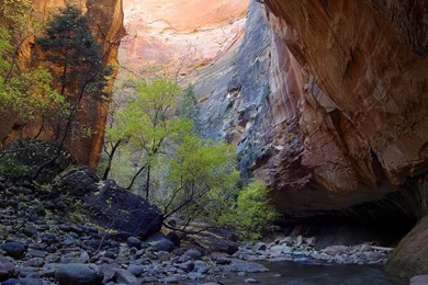 Zion National Park Wallpapers HD