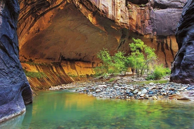 Zion National Park Narrows Wallpapers   Wallpaper.