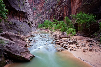 Zion National Park, Utah, United States Wallpapers And Images ...