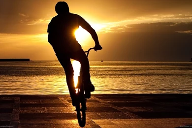 Desktop bmx bikes pics.jpg