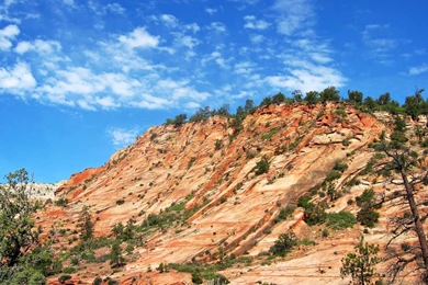 Tibet, Tillamook Bay & Zion National Park   Landscapes & Scenery ...