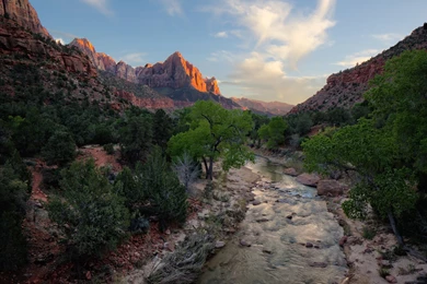 2560x1600 Zion National Park Utah, National Parks, Nature, Flowing ...