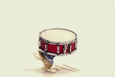 Hop drums 041.jpg