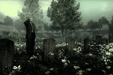 What Kind Of White Flower Is Used For "The Boss" Flower ...