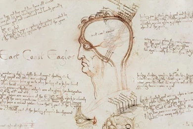 Jestingstock.com Leonardo Davinci Desktop Image