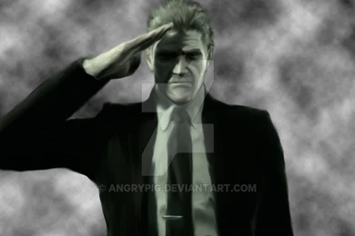 Metal Gear Rising W.I.P By AngryPIG On DeviantArt