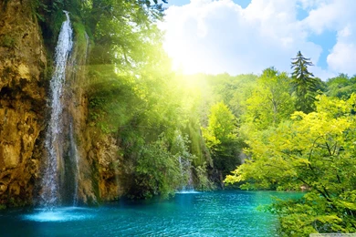 Download Forest Falls Wallpapers   Wallpapers Widest