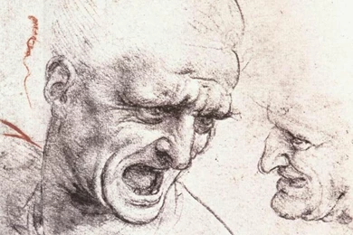 Leonardo Da Vinci Wallpapers   Android Apps And Tests   AndroidPIT