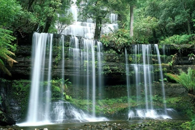 Free Screensavers And Wallpapers   KScreensavers.com