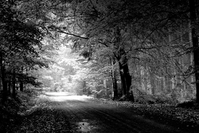 Black And White Wallpapers Hd   1502640