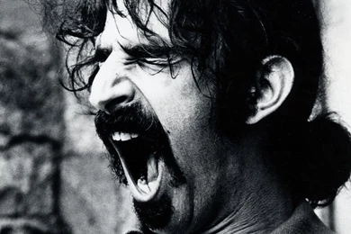 Zappa.com > Stuff To Get > Tasty Wallpapers