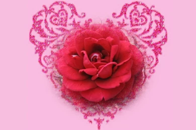 Valentine Roses Wallpapers: Beautiful By Free Download Best HD ...