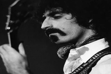FRANK ZAPPA WALLPAPER (