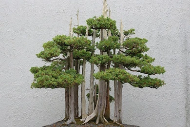 THEME] Google Nexus 4 Wallpapers