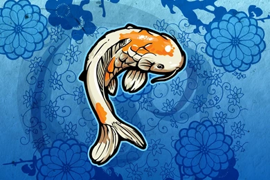 620 Fish HD Wallpapers