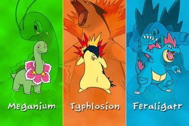 Pokemon Johto Starters Wallpapers By DarkGreiga On DeviantArt