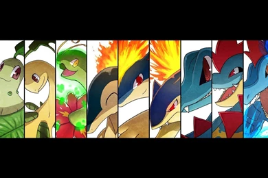 Gen 2 Starter Pokemon HD Wallpapers
