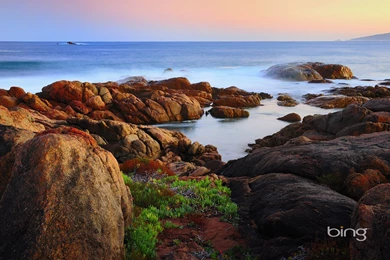 Bing Australia Desktop Full Size