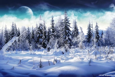 Wallpaper, Winter, Scene, Game, Category, Christmas, Gallery ...