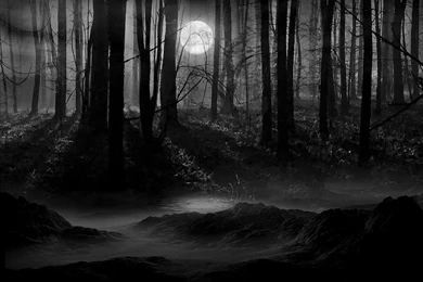 Dark Forest Moon   Wallpaper.