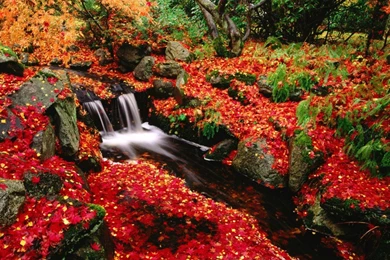 Free autumn wallpaper for desktop 3 52124 HD Pictures