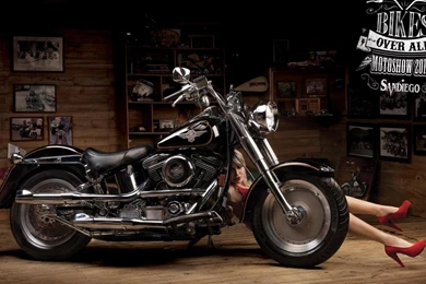 Harley Davidson Fatboy Wallpapers   (