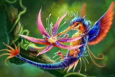 Best Ever Birds Wallpapers Free Download PC   Online Fun