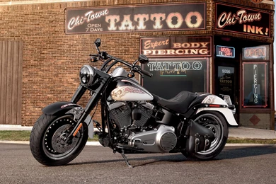 2013 Harley Davidson FLSTFB Softail Fat Boy Lo 110th Anniversary ...