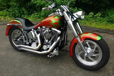 1998 Harley Davidson Fatboy Softail FLSTF Bike Motorbike ...